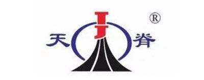 天脊煤化工集团股份有限公司
